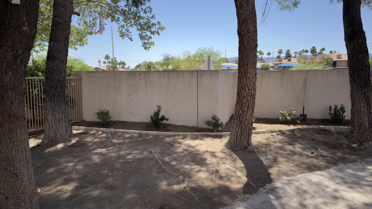 Backyard before rock coverage and turf installation